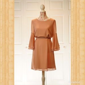 NWT Blush Chiffon Dress